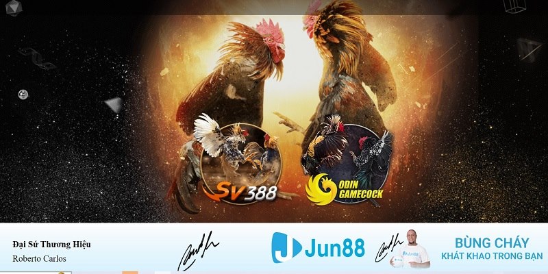888 slot xổ số miền nam hàng tuần