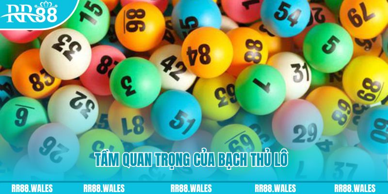 888 slot Ws168 Đá Gà
