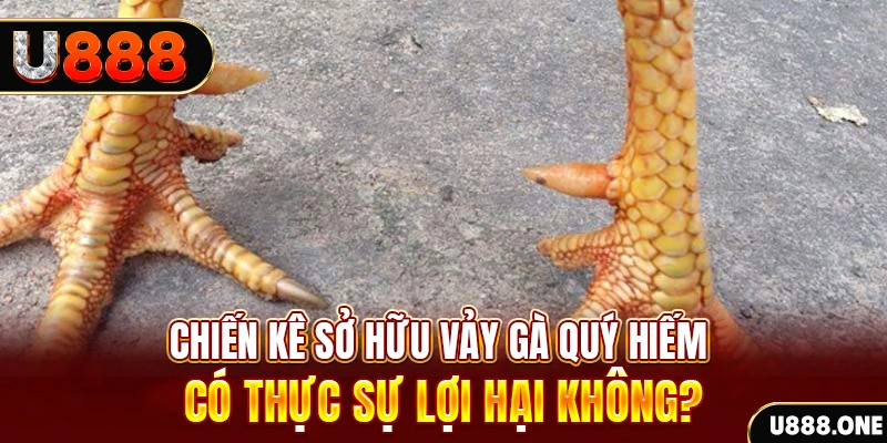 888 slot game cá cược máy bay