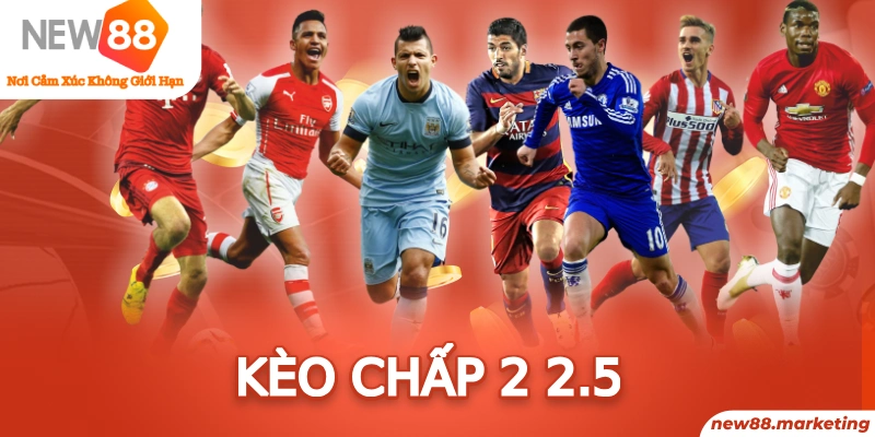 888 slot trực tiếp đá gà thomo