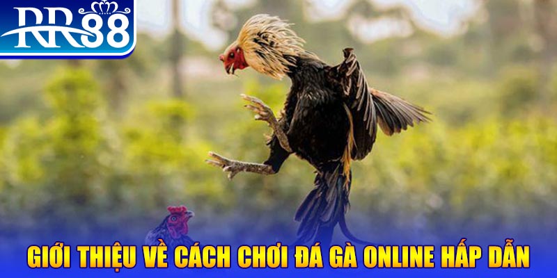 nổ hũ 2 mặt là gì