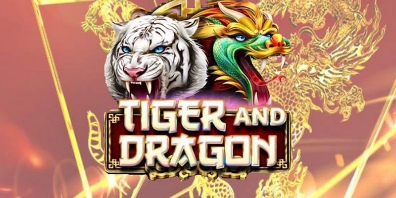 888 slot cá cược tiếng anh là gì