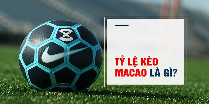 Trăm Knorr